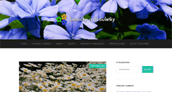 Desktop Screenshot of letnicky.com